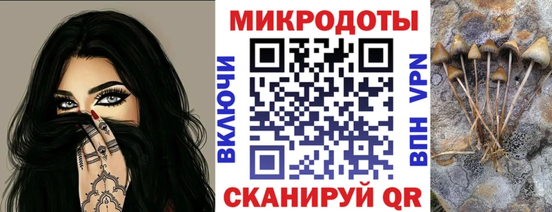 Галлюциногенные грибы Psilocybe  Купить  Остров 